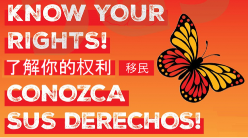 Know Your Rights Banner