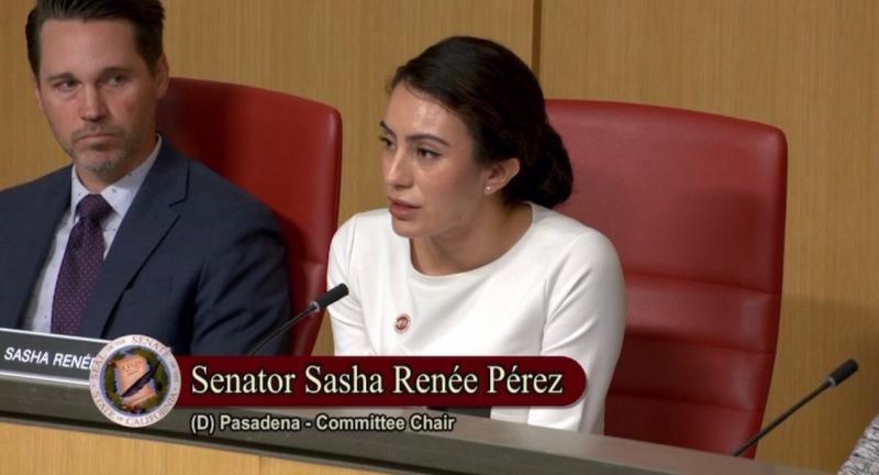 Senator Pérez seated at committee dais speaking into microphone